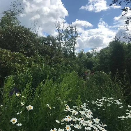 Country Garden - Naturpark Schlei *